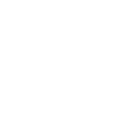 Amir Fayo